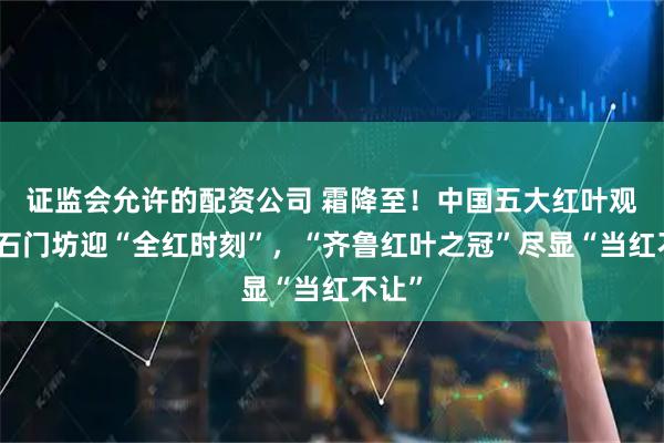 证监会允许的配资公司 霜降至！中国五大红叶观赏地石门坊迎“全红时刻”，“齐鲁红叶之冠”尽显“当红不让”