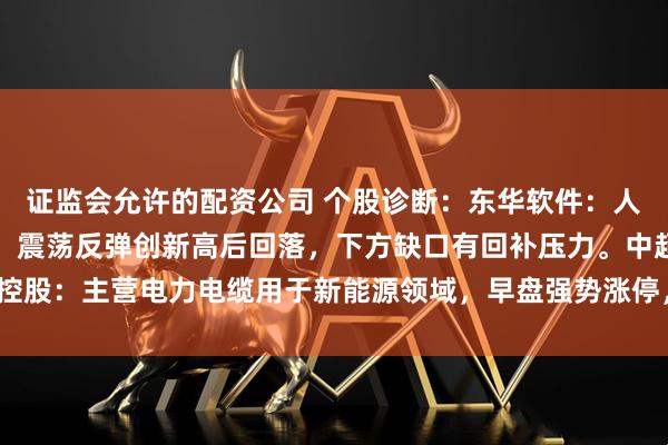 证监会允许的配资公司 个股诊断:东华软件:人工智能、国产软件板块,震荡反弹创新高后回落,下方缺口有回补压力。中超控股:主营电力电缆用于新能源领域,早盘强势涨停,有进一步冲高动能(杨勇)