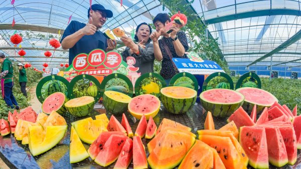 炒股配资股票开户 永定河畔，多彩大兴西瓜迎夏日